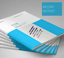 indesign模板－公司报告手册(24页/2种规格/EPS图标文件)：Incorp Report